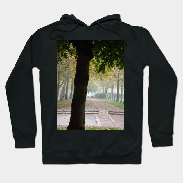 A park on a foggy autumn day Hoodie by TiiaVissak